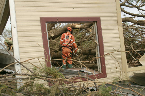 How Our Tree Care Process Works  in  New Baltimore, OH