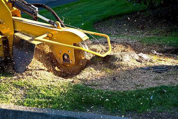 Mulching Services in New Baltimore, OH